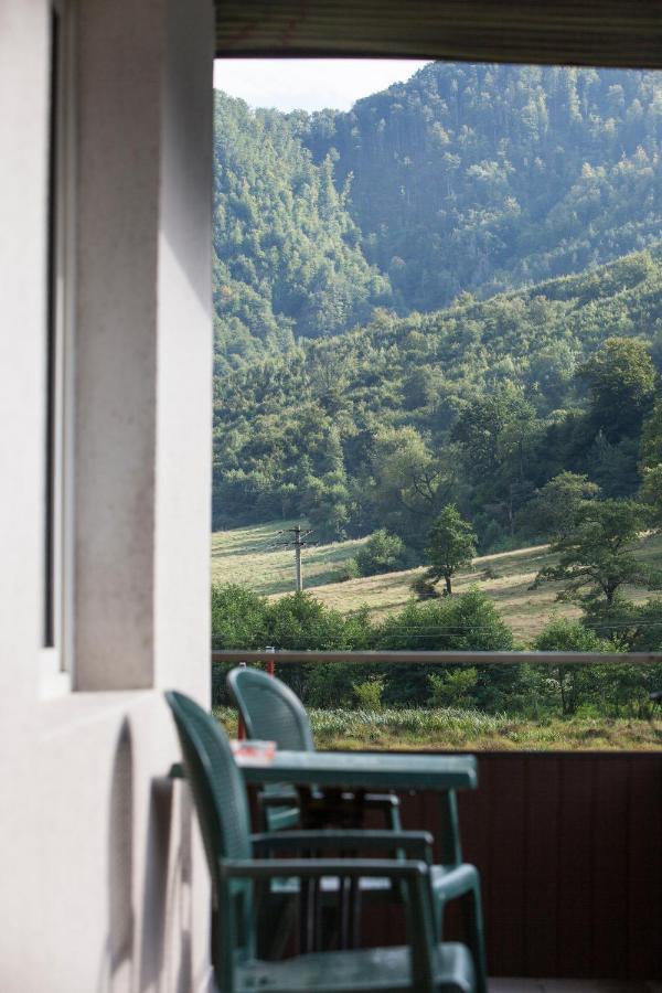 Time-Out - Valea Oltului Hotel Balota  Екстериор снимка