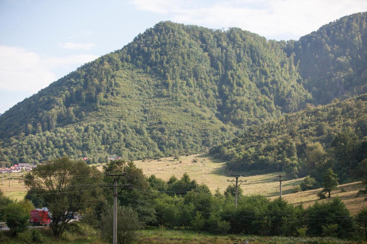 Time-Out - Valea Oltului Hotel Balota  Екстериор снимка